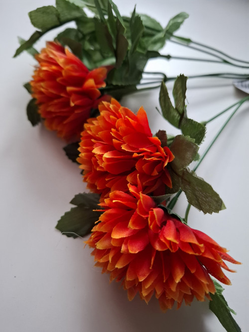 Chryzantéma oranžová — foto 3