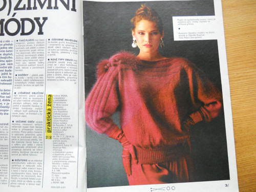 Praktická žena 1990 — foto 2