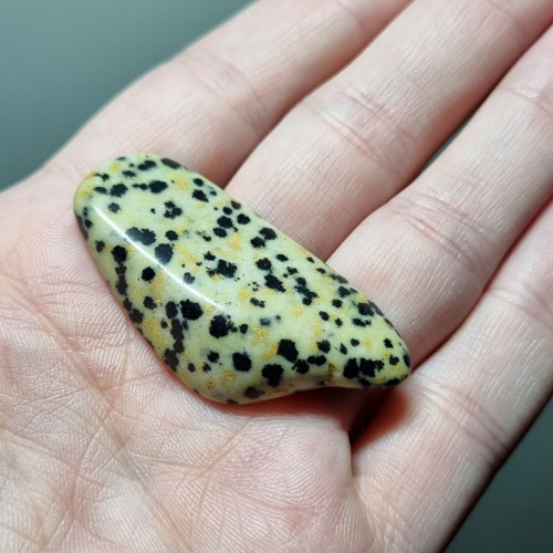 Jaspis dalmatin č.1 - 45x22mm — foto 3