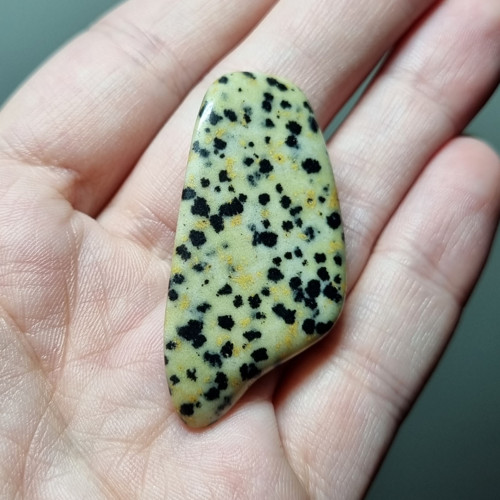 Jaspis dalmatin č.1 - 45x22mm — foto 2