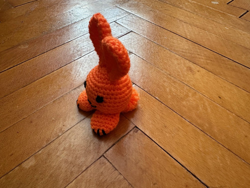 Králíček oranžový — foto 2
