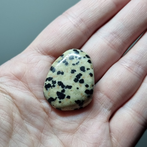 Jaspis dalmatin č.2 - 28x21mm — foto 2