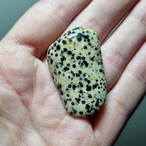 Jaspis dalmatin č.3 - 38x23mm — foto 2