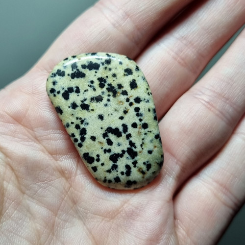 Jaspis dalmatin č.3 - 38x23mm — foto 3