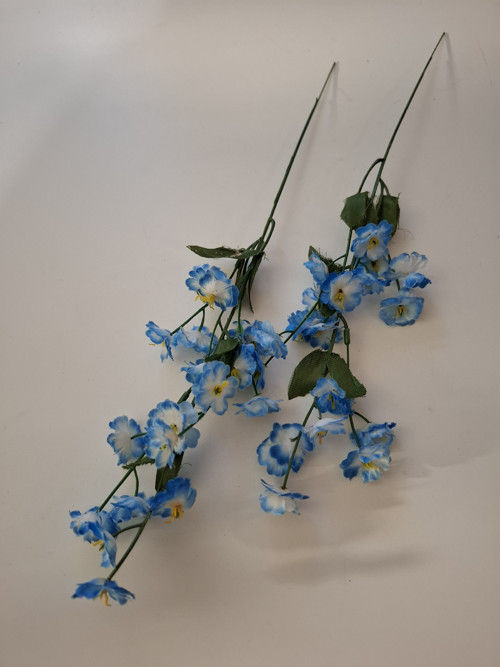 Pomněnka — foto 2