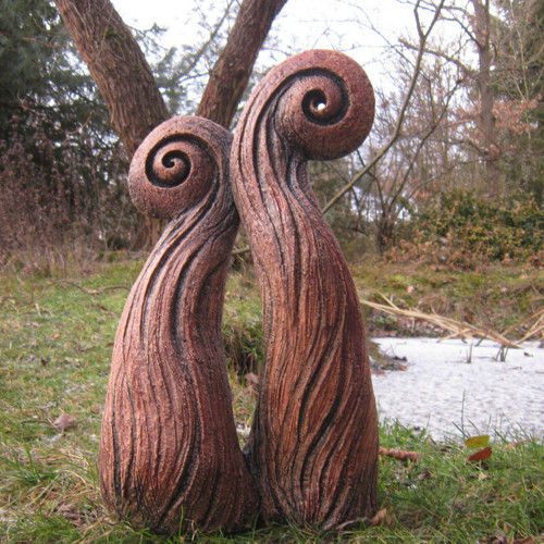 Dvě kapradiny — foto 2