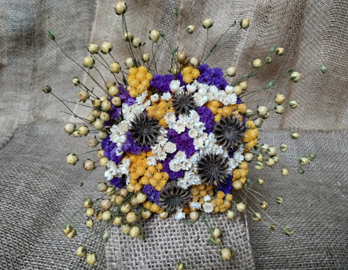 Modro-žluté kvítko s mračňákem — foto 4