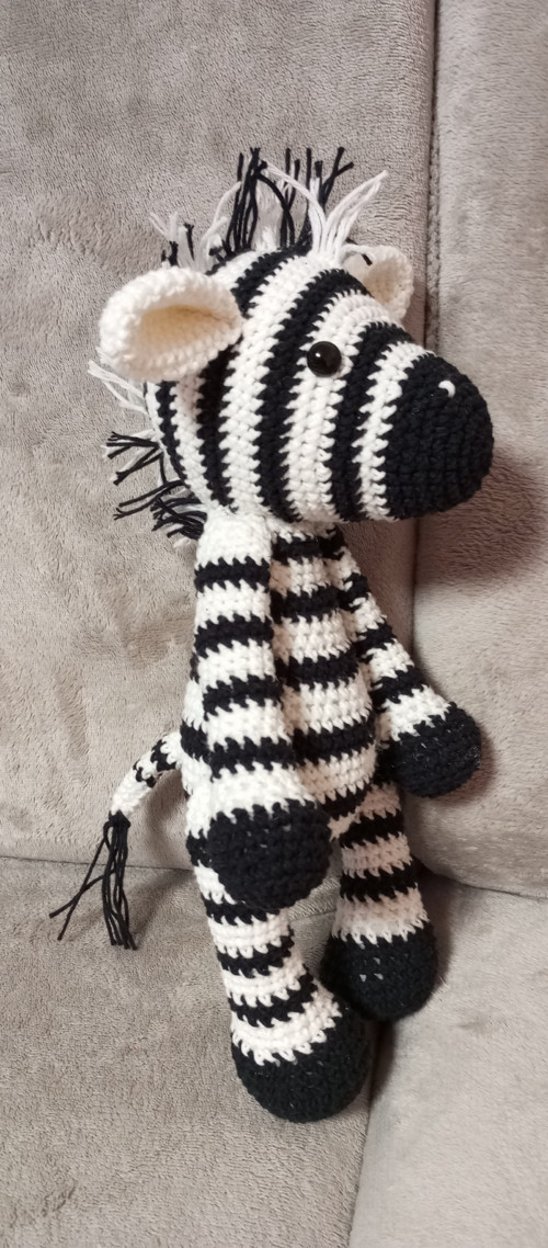 Zebra — foto 2