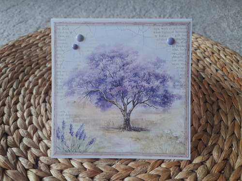 Vzpomínka na Provence XI. — foto 2
