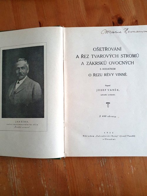 Ošetřování a řez tvarových stromů — foto 2