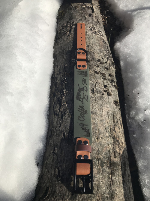 BioThane obojek s gravírováním — foto 3