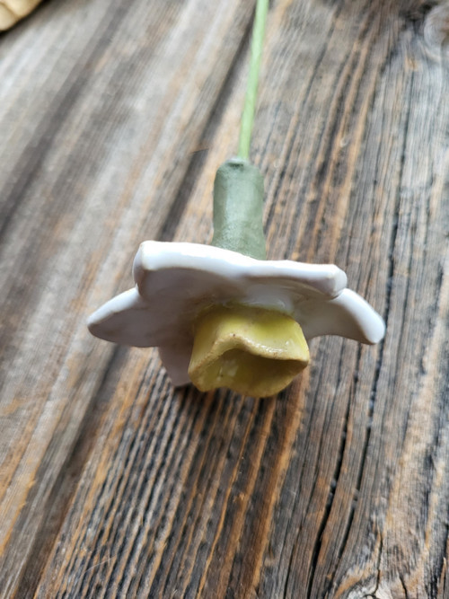 Narcisky — foto 4