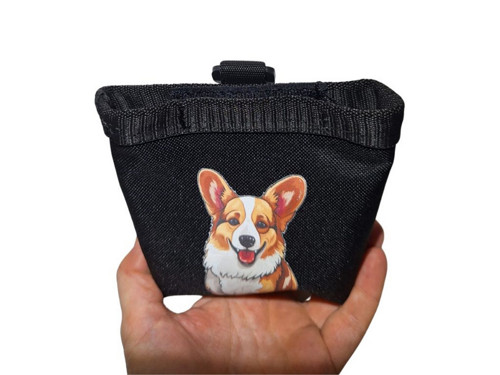 Pamlskovník Corgi — foto 6