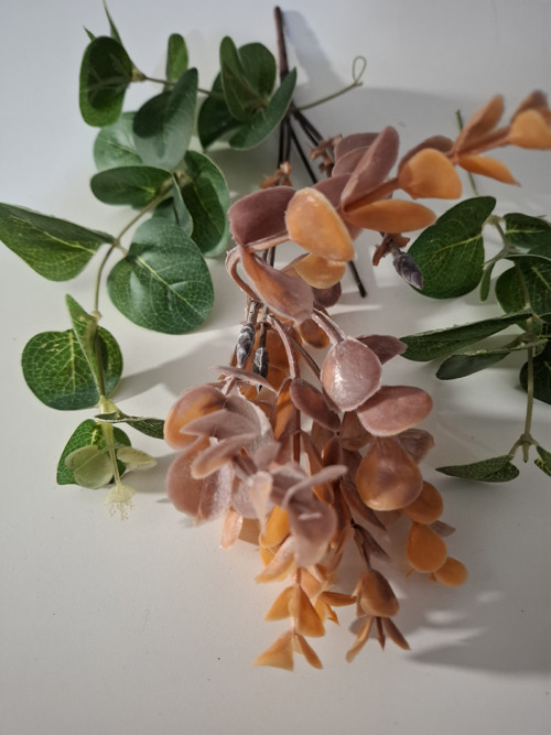 Větvičky Eucalyptu — foto 2