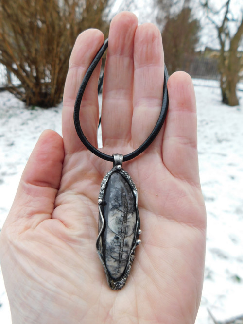 Tajemný talisman - Orthceras — foto 3