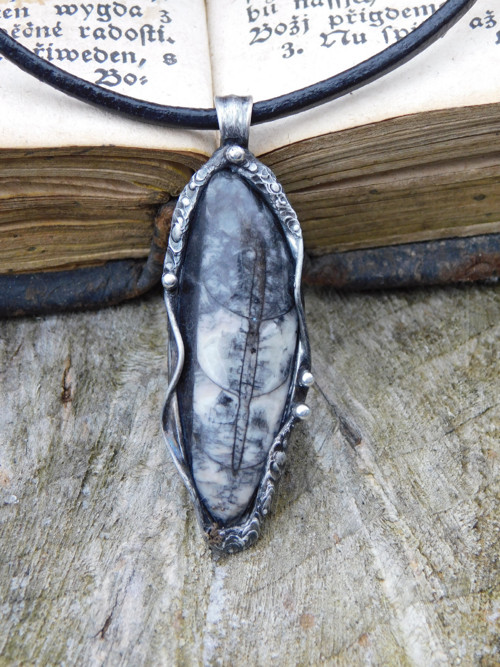 Tajemný talisman - Orthceras — foto 2