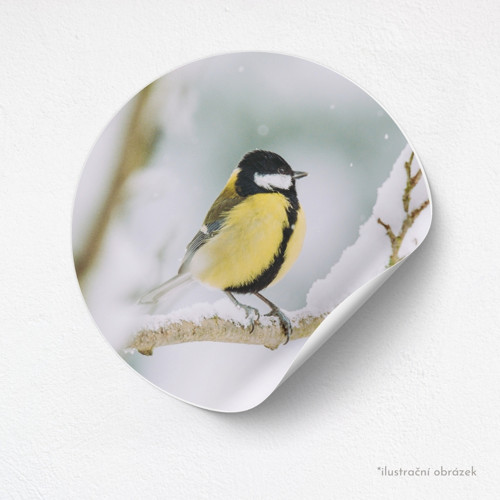 Samolepkový arch: Parus major — foto 2