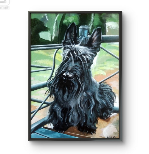 Obraz "Scottie" — foto 2