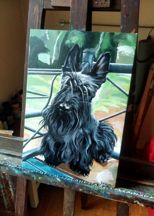 Obraz "Scottie" — foto 3