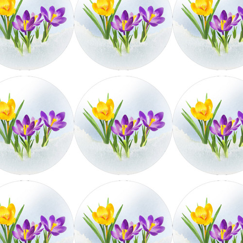 KROKUSY - samolepky — foto 2