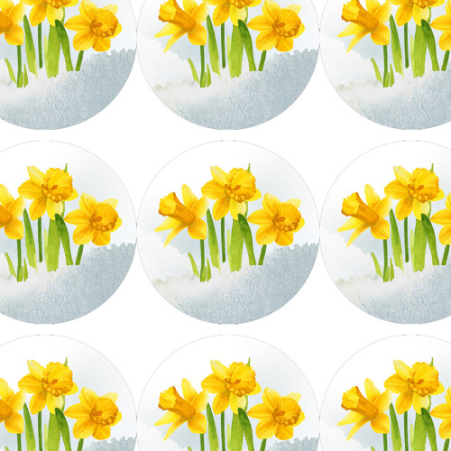 NARCISY - samolepky — foto 2