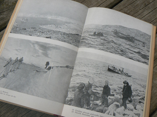 Ostrov v zemi nikoho. — foto 3