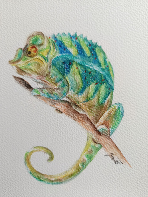 Chameleon — foto 2