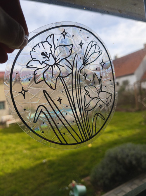 Lapač slunce - narcisy — foto 3