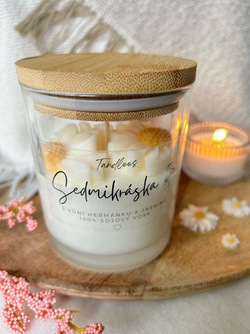 Sójová svíčka - sedmikráska — foto 3