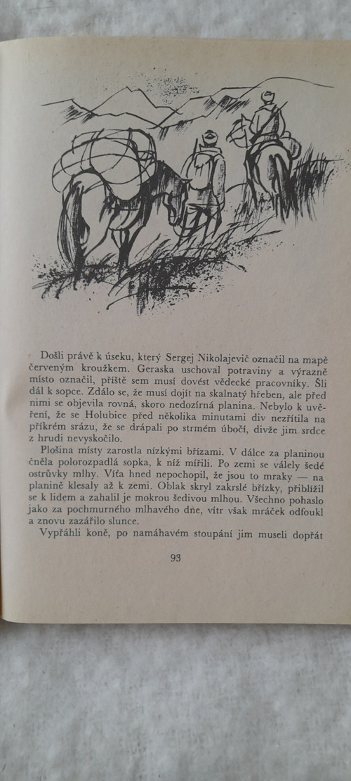 Za medvědem na Kamčatku — foto 4