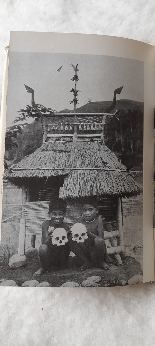 Med ze stromu binunga — foto 2