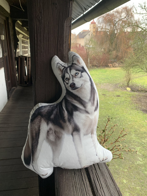 Hasky - 3D polštář — foto 2