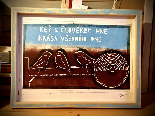 Vrabčí moudro — foto 5