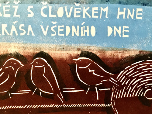 Vrabčí moudro — foto 2