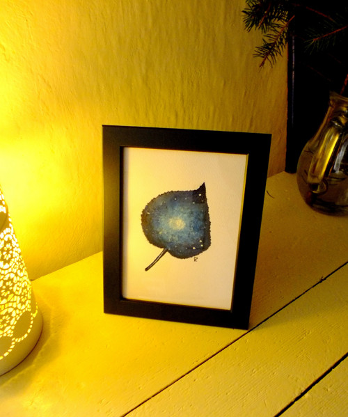 Lístek půlnoční - obrázek — foto 2