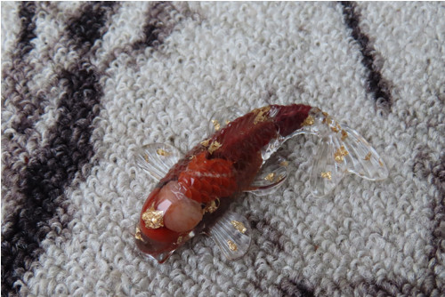 Koi kapřík — foto 3