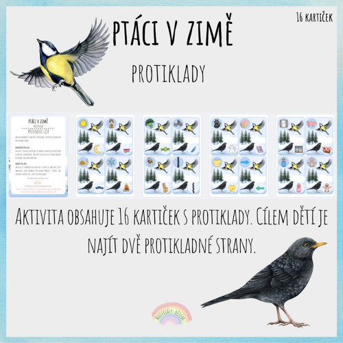 Ptáci v zimě, protiklady — foto 2