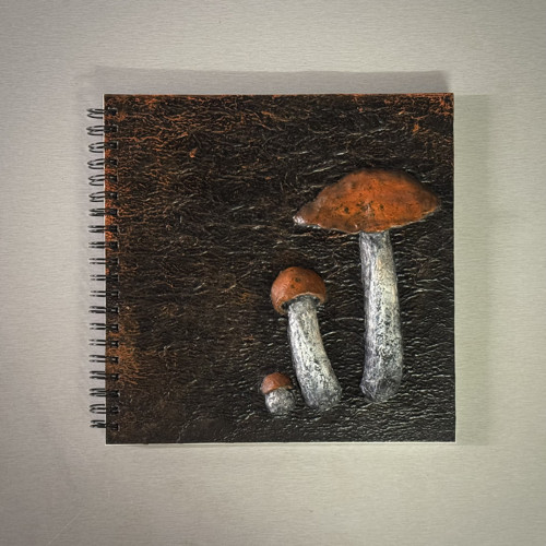Zápisník Houby — foto 3