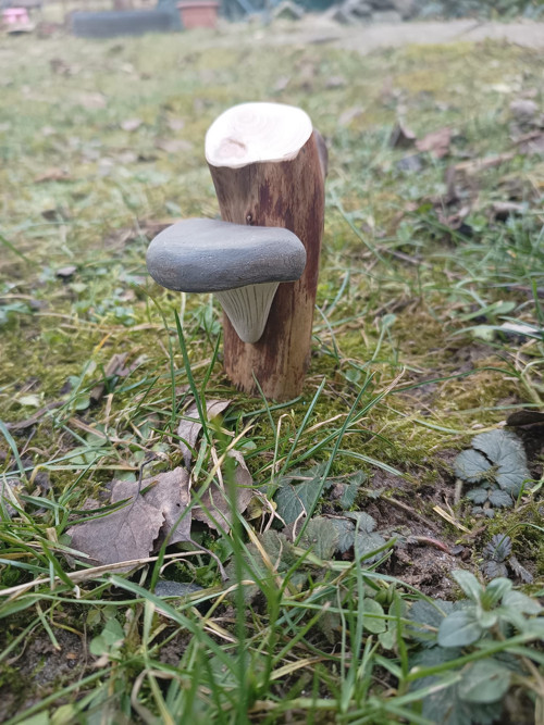 Dřevěné houby — foto 5