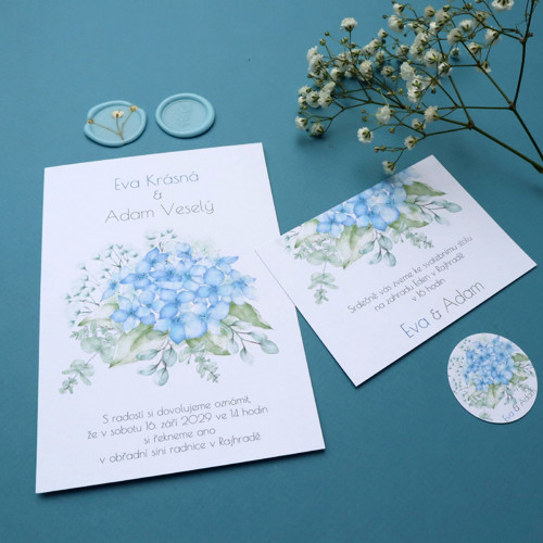 Hortenzie modrá - oznámení — foto 2