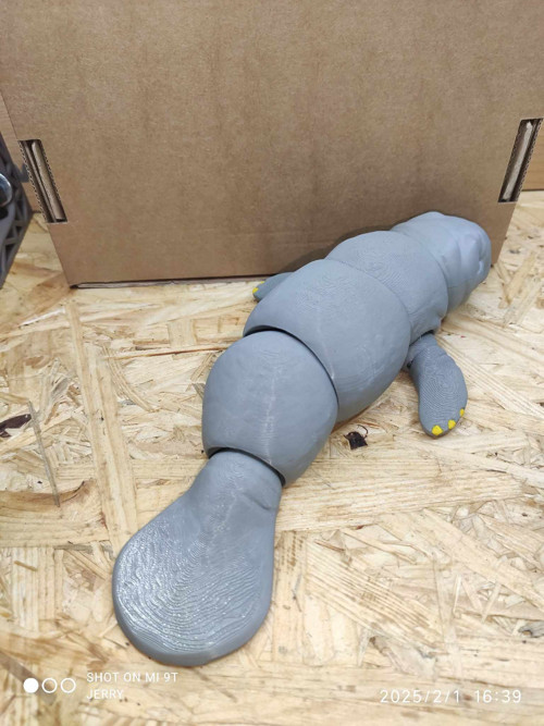 Kapustňák — foto 3