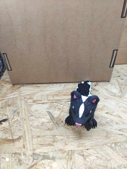 Skunk — foto 2