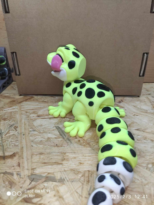 Leopardí Gekon s jazykem — foto 3