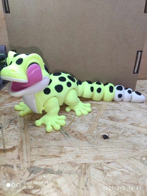 Leopardí Gekon s jazykem — foto 2