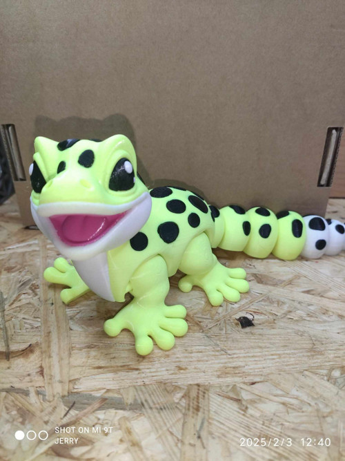 Leopardí Gekon bez jazyku — foto 2