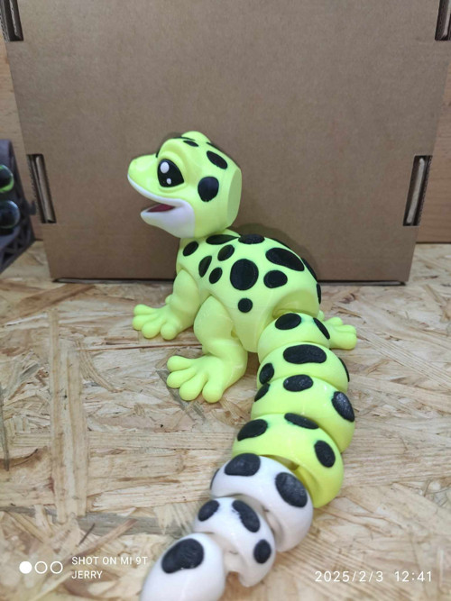 Leopardí Gekon bez jazyku — foto 3