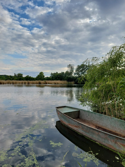 Sada kvalitních samolepek - APOLO — foto 2
