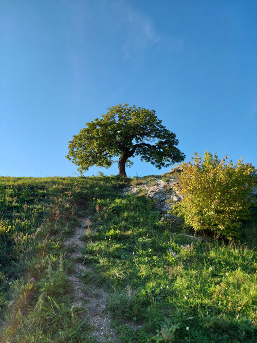 Sada kvalitních samolepek - PÁLAVA — foto 2