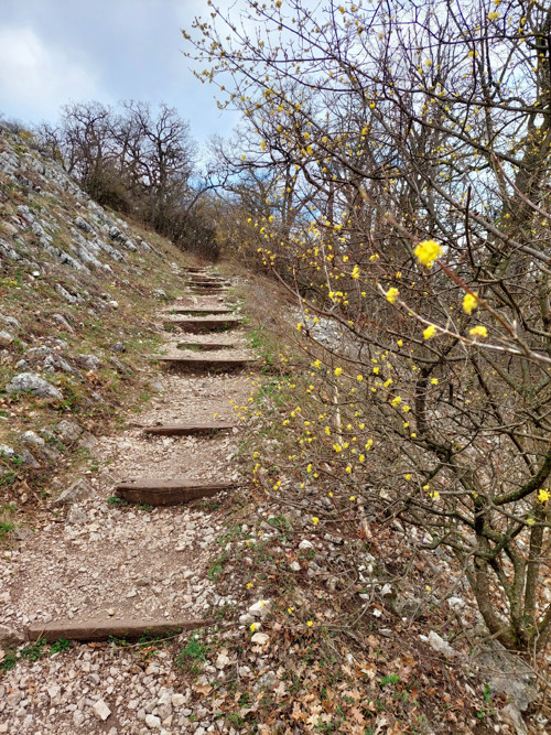 Sada kvalitních samolepek - PÁLAVA — foto 3
