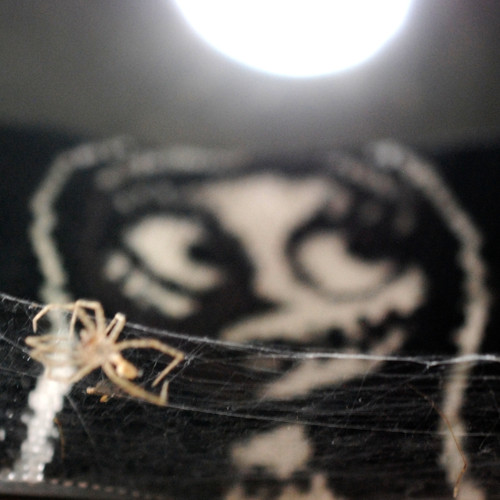 ...Nightmare Before Christmas... — foto 2